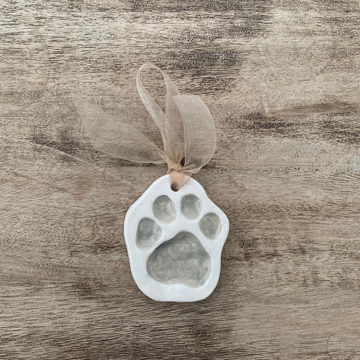 single paw print grey